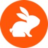 הלוגו של CodeRabbit