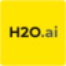 הלוגו של H2O AI
