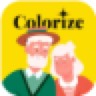 הלוגו של ImageColorizer