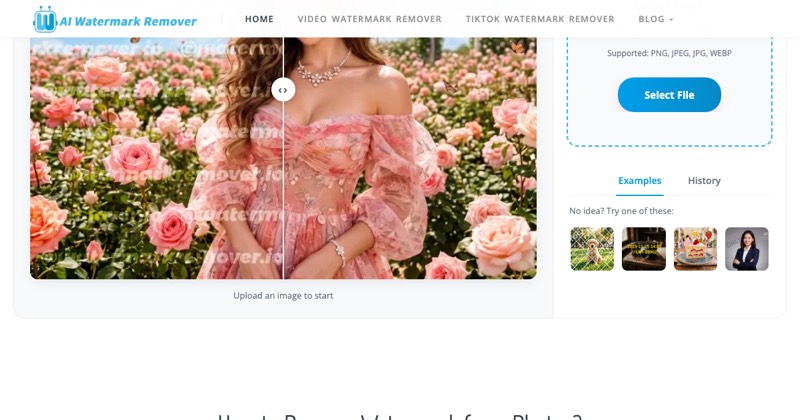 AI Watermark Remover, מסך 3