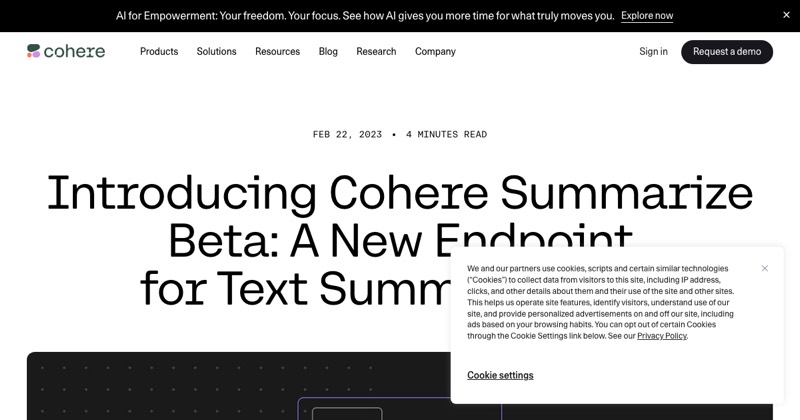 צילום מסך של Cohere Summarize Beta