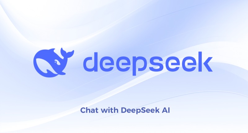 צילום מסך של DeepSeek