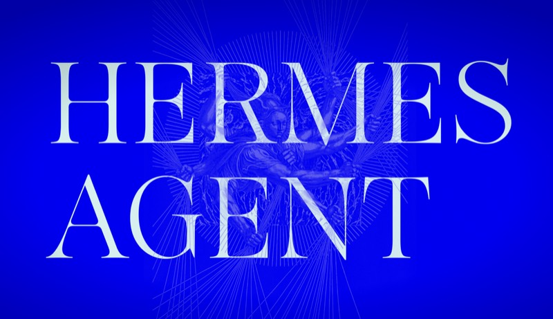 צילום מסך של Hermes Agent