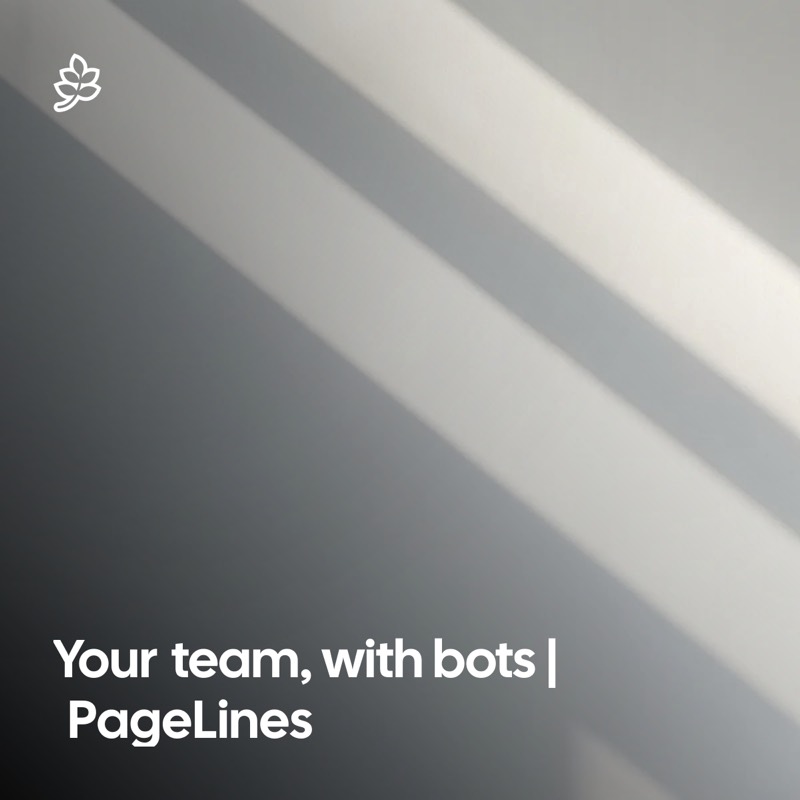 צילום מסך של PageLines