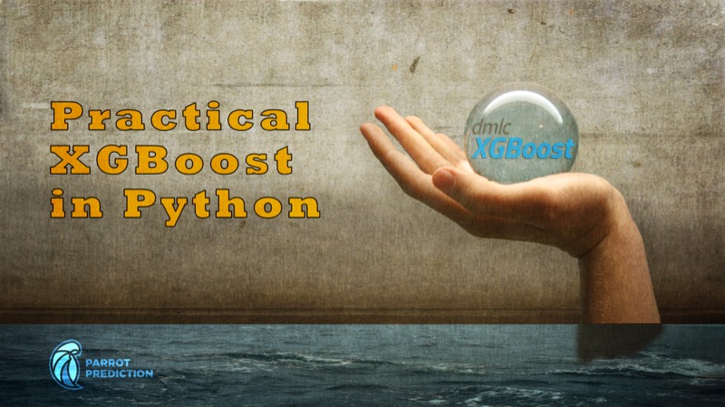 צילום מסך של Practical XGBoost in Python